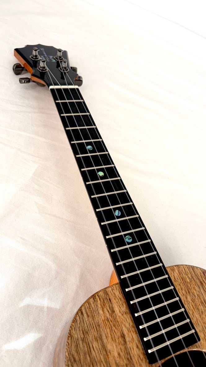 Koaloha KTM-00 Mango Tenor gloss #28