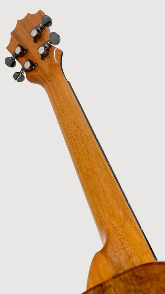 Koaloha KTM-00 Special Issue Fichte