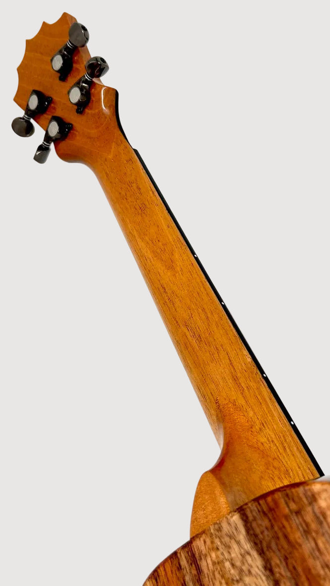 Koaloha KTM-00 Koa Tenor gloss #94