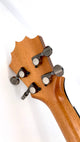 Koaloha KTM-10 Royal Pikake Mango Tenor #5