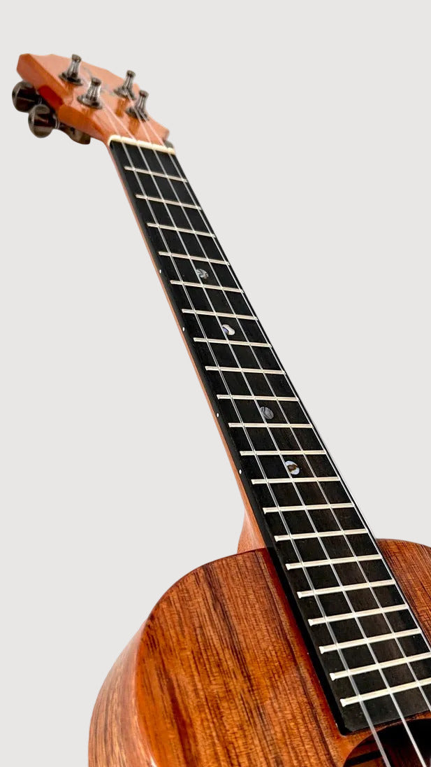 KoAloha KTM-S00 Koa Slim Tenor gloss #31