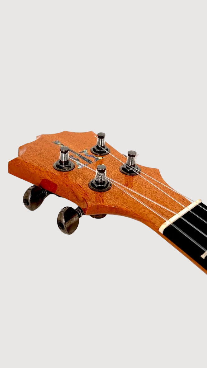 KoAloha KTM-S00 Koa Slim Tenor gloss #31