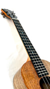 Koaloha KTNP-00 Naupaka Tenor gloss #13