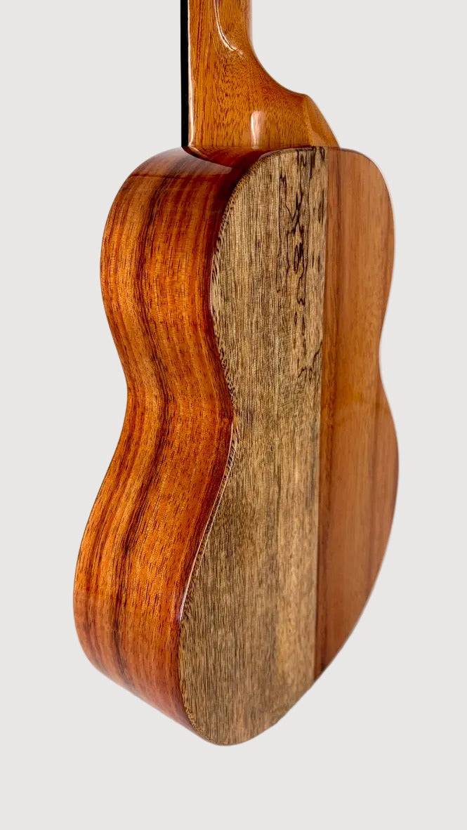 Koaloha KTNP-00 Naupaka Tenor gloss #15