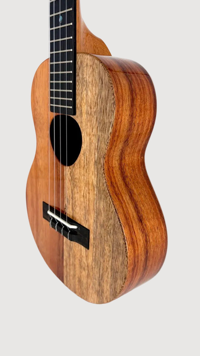 Koaloha KTNP-00 Naupaka Tenor gloss #15