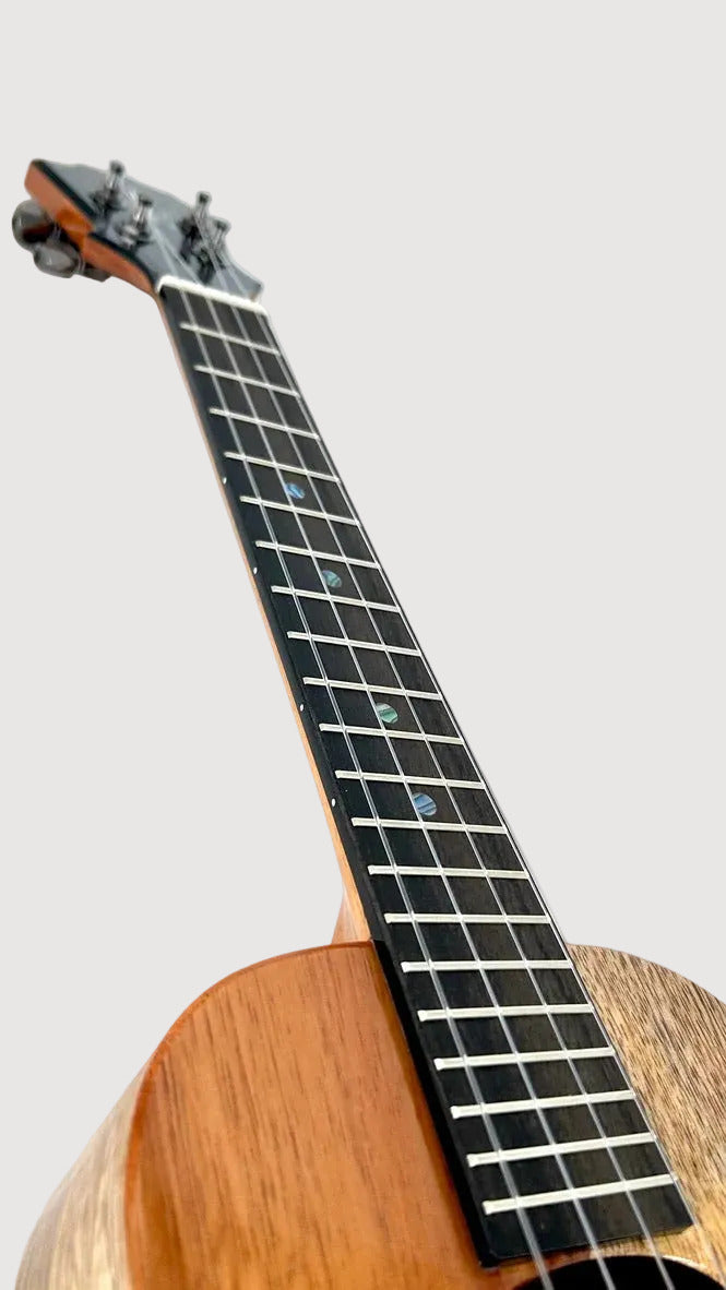 Koaloha KTNP-00 Naupaka Tenor gloss #16