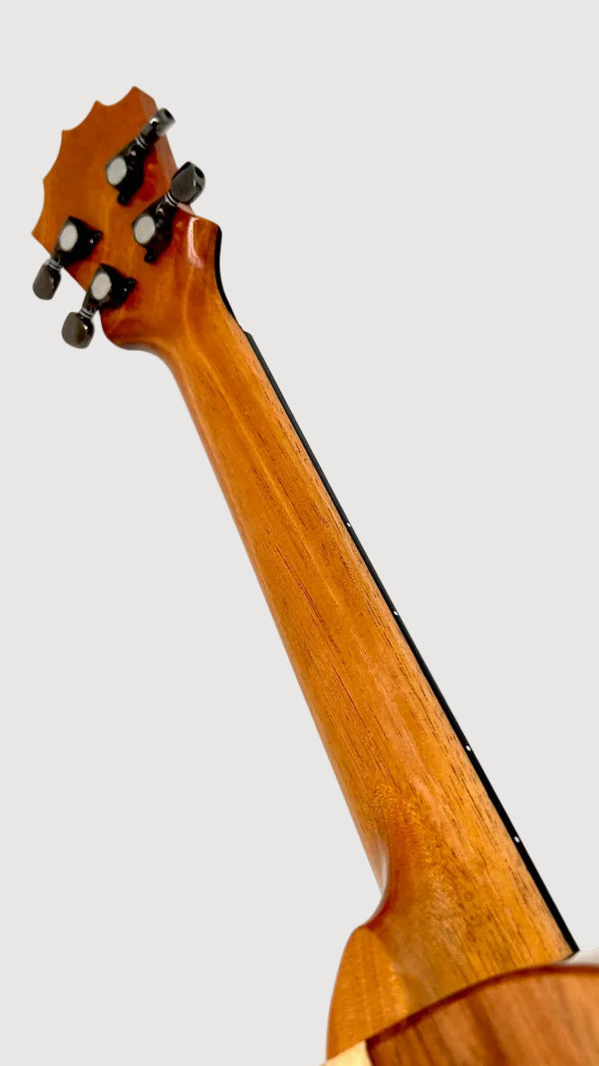 Koaloha KTNP-00 Naupaka Tenor gloss #16