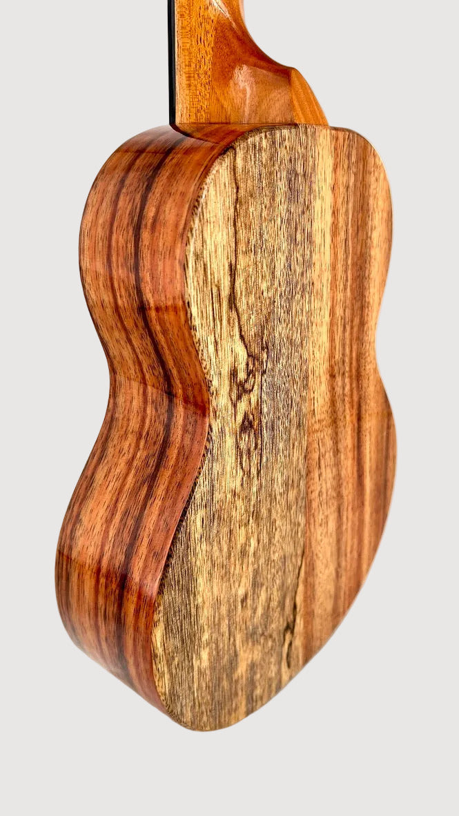 Koaloha KTNP-00 Naupaka Tenor gloss #17