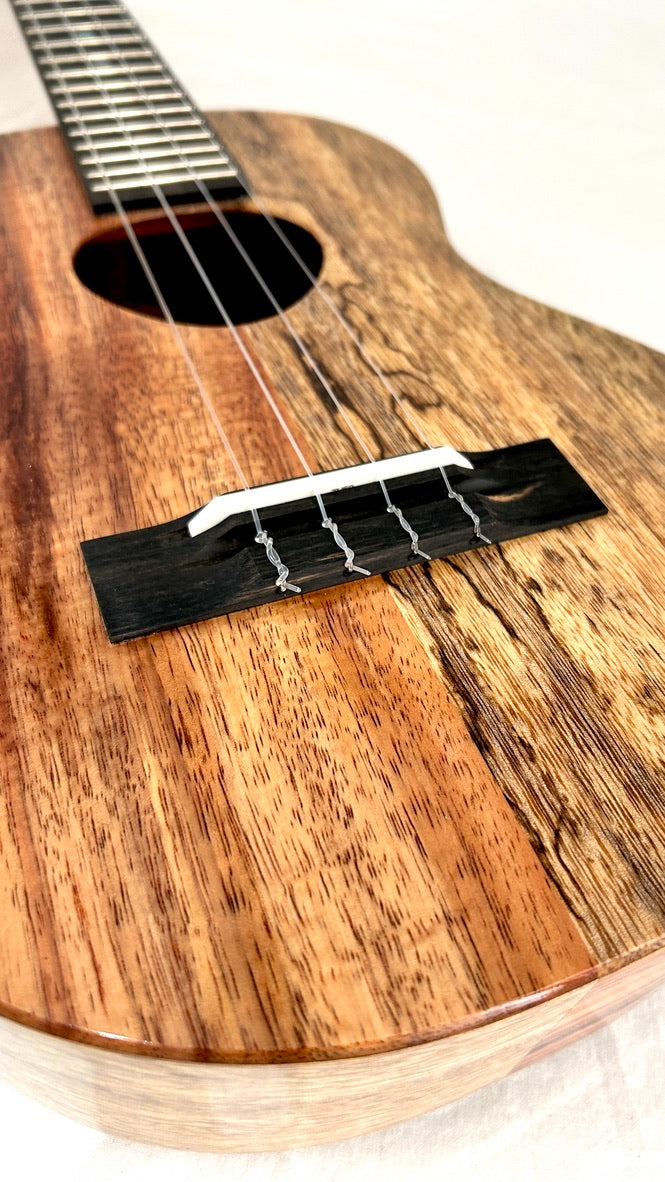 Koaloha KTNP-00 Naupaka Tenor gloss #17
