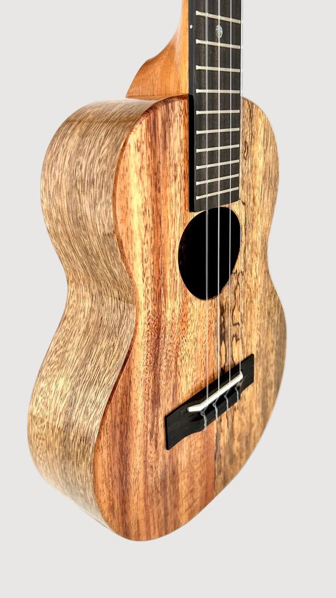 Koaloha KTNP-00 Naupaka Tenor gloss #17