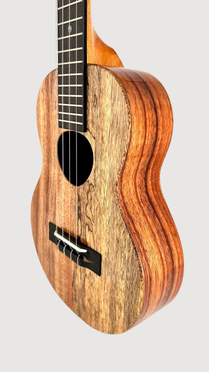 Koaloha KTNP-00 Naupaka Tenor gloss #17