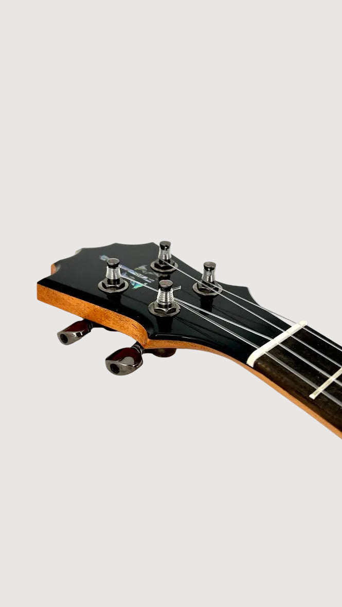 Koaloha KTNP-00 Naupaka Tenor gloss #17