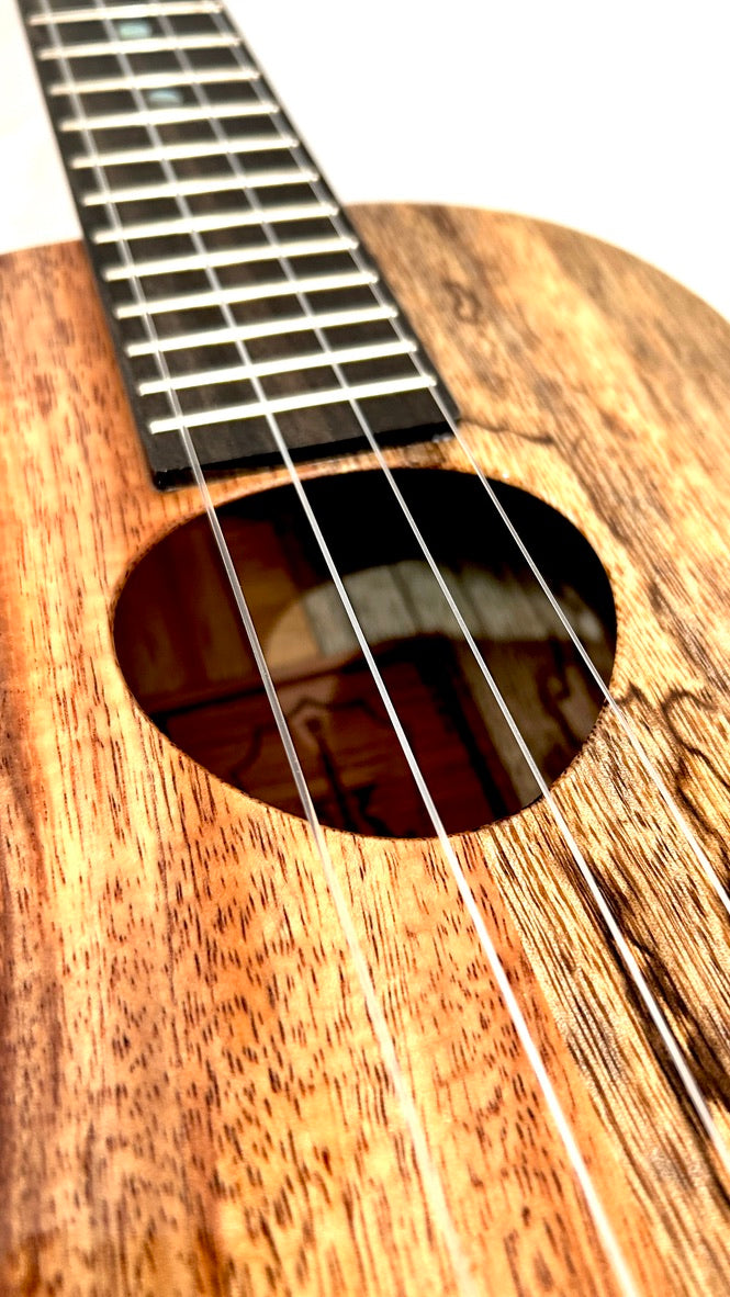 Koaloha KTNP-00 Naupaka Tenor gloss #17
