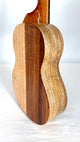 Koaloha KTNP-00 Naupaka Tenor gloss #8
