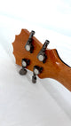 Koaloha KTNP-00 Naupaka Tenor gloss #8