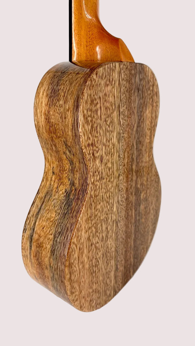 Koaloha KTM-00 Mango Tenor gloss #29