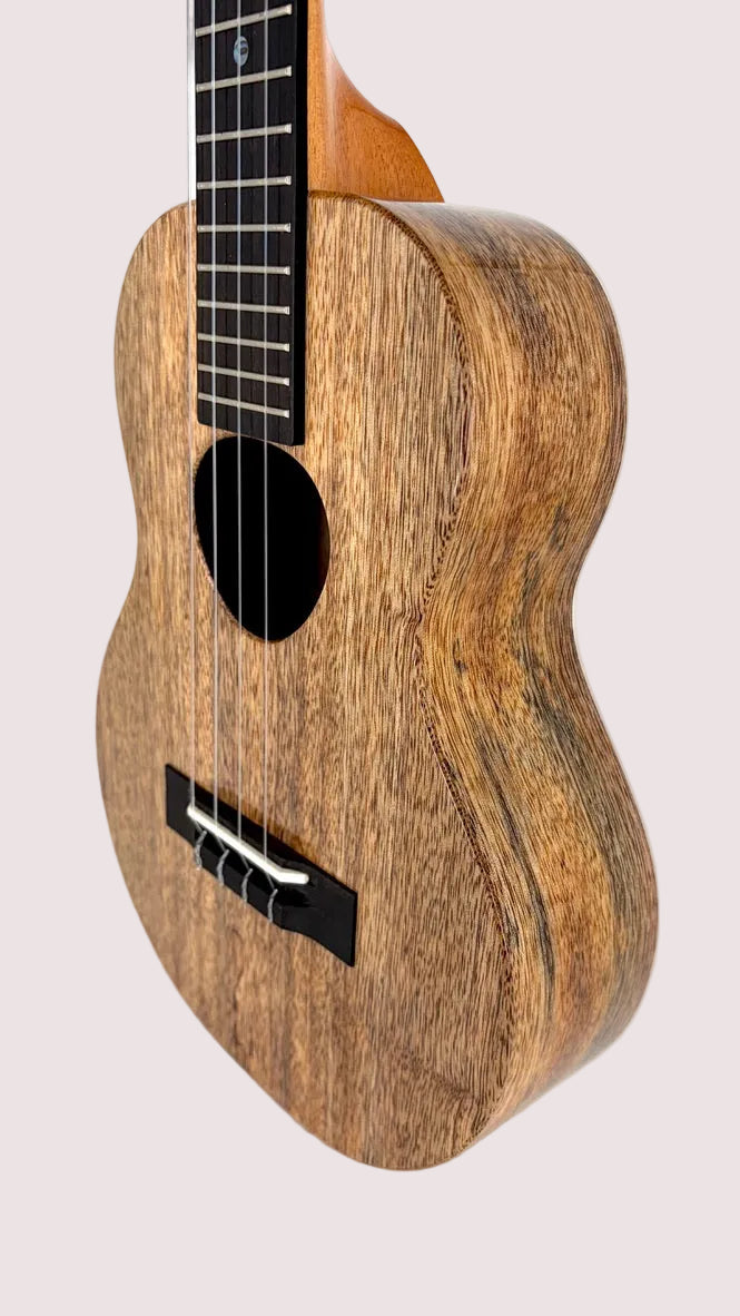 Koaloha KTM-00 Mango Tenor gloss #29