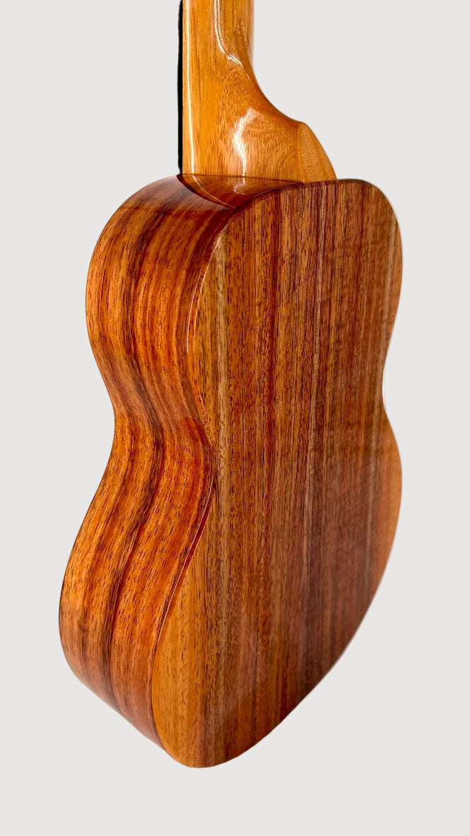 Koaloha KTM-00 Koa Tenor gloss #89