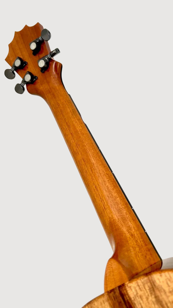 Koaloha KTM-00 Koa Tenor gloss #96