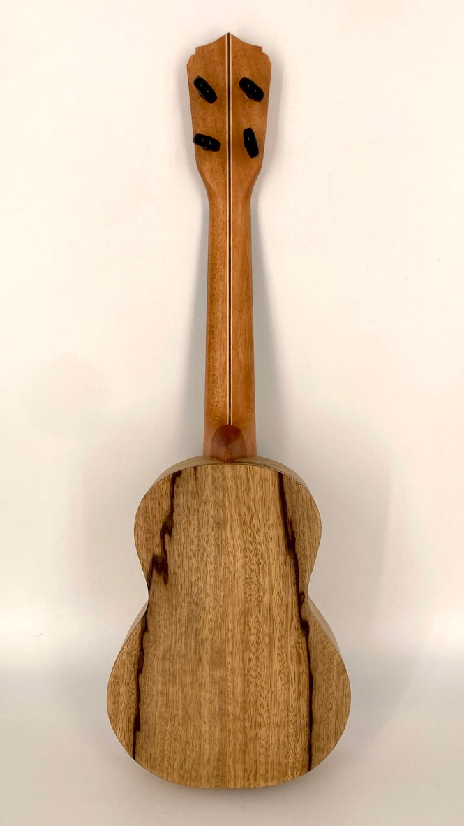 LoPrinzi Concert Korina