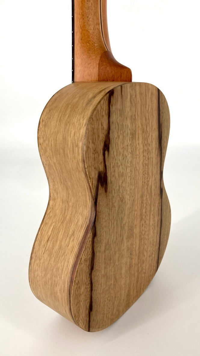 LoPrinzi Concert Korina