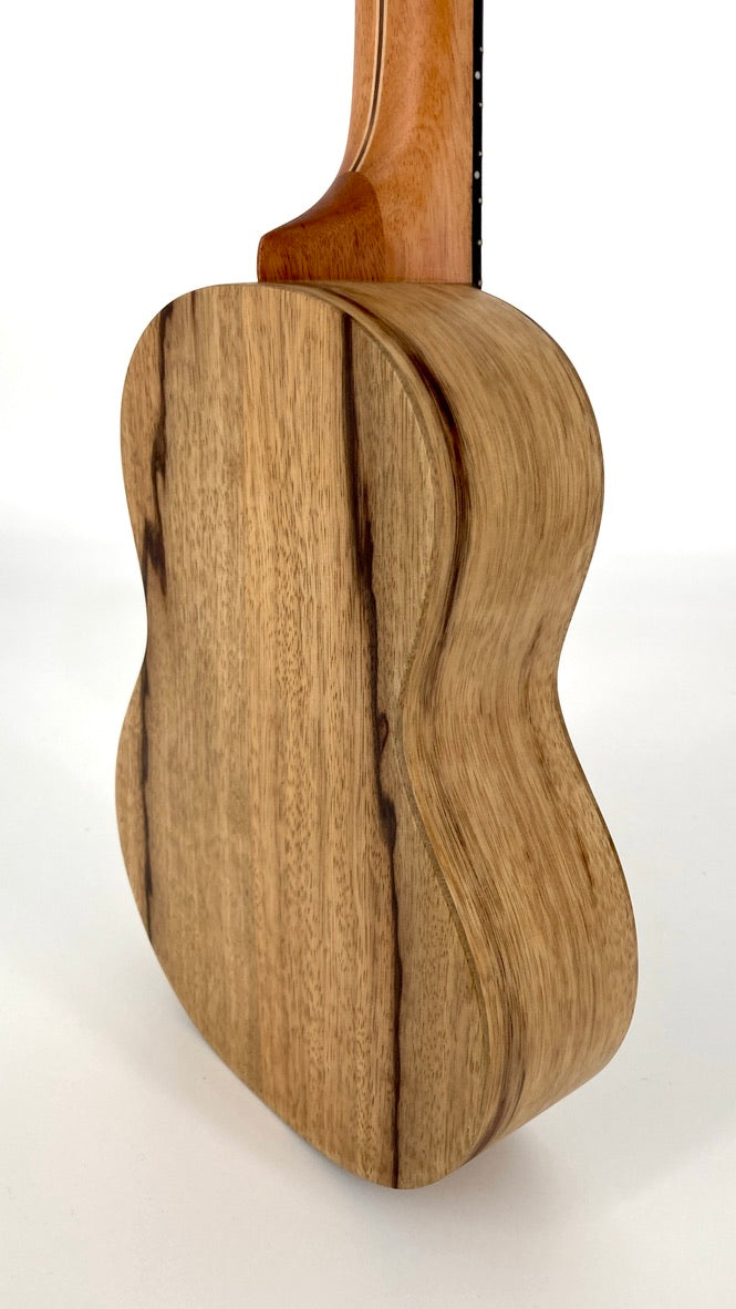 LoPrinzi Concert Korina