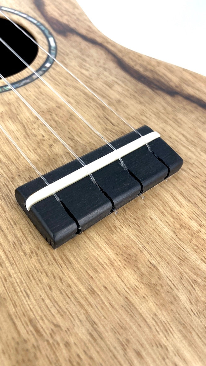 LoPrinzi Concert Korina