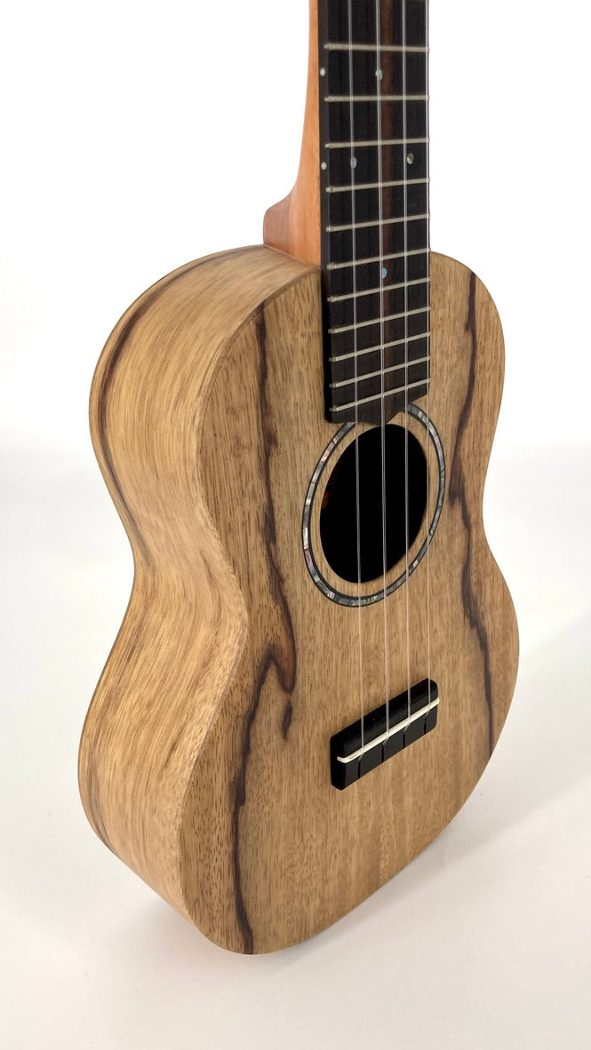 LoPrinzi Concert Korina