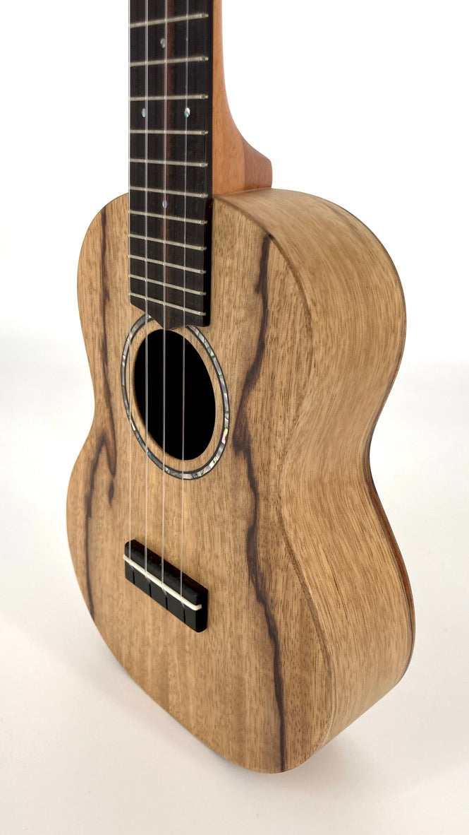 LoPrinzi Concert Korina