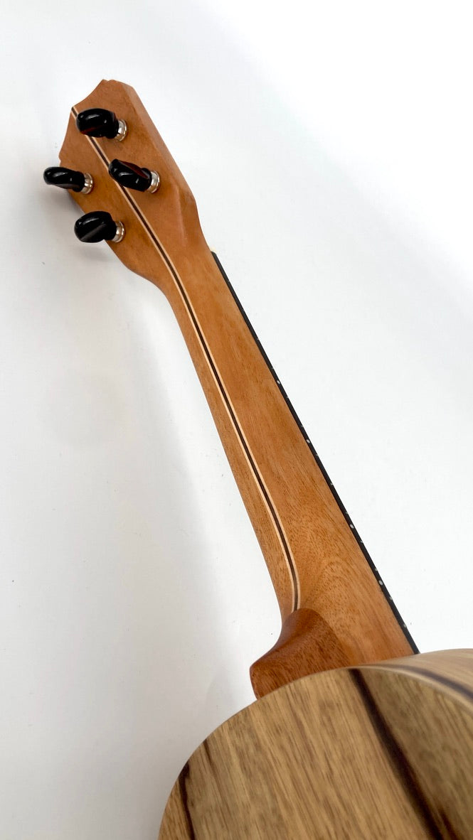 LoPrinzi Concert Korina