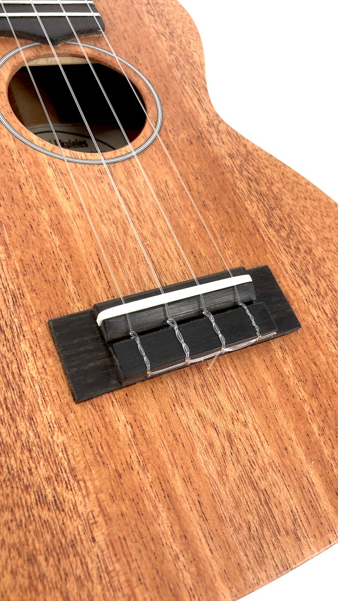 LoPrinzi Concert Longneck Mahagoni