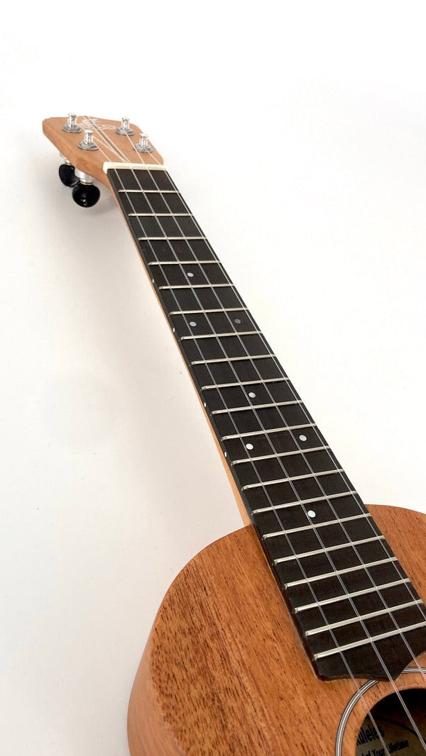 LoPrinzi Concert Longneck Mahagoni
