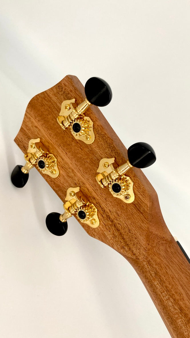 PONO MBD Bariton