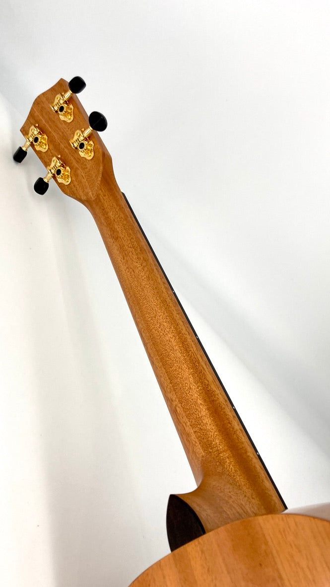 PONO MBD Bariton