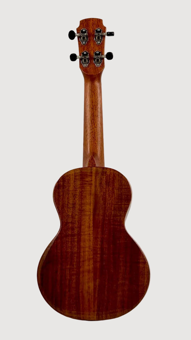 MAESTRO UC-K SB Concert