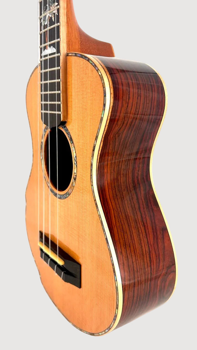 MAESTRO UC-CO SB Concert