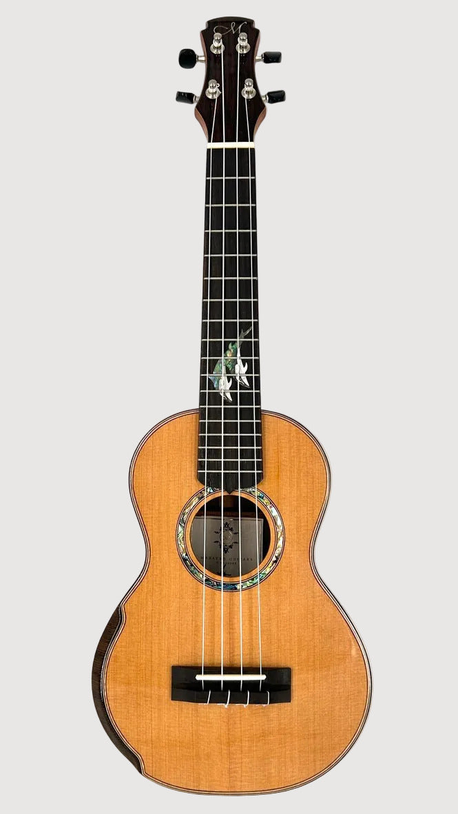 MAESTRO UC-IR (C) SB Concert