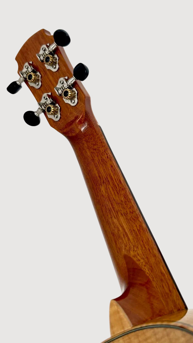 MAESTRO US35 Sopran