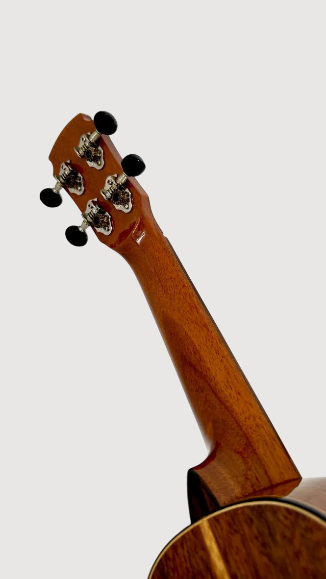 MAESTRO US45 Sopran
