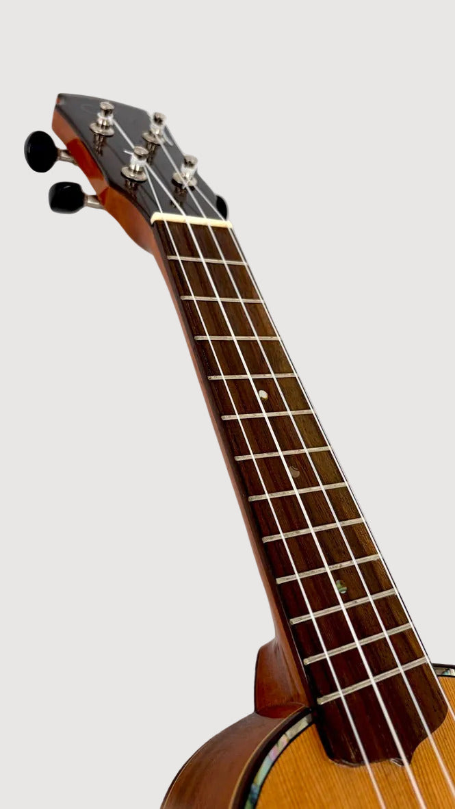 MAESTRO US45 Sopran