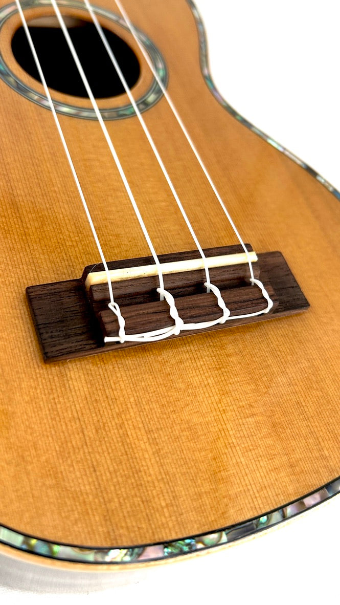 MAESTRO US40 Sopran
