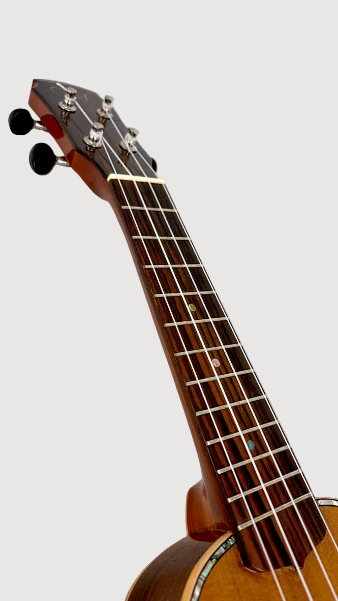 MAESTRO US40 Sopran