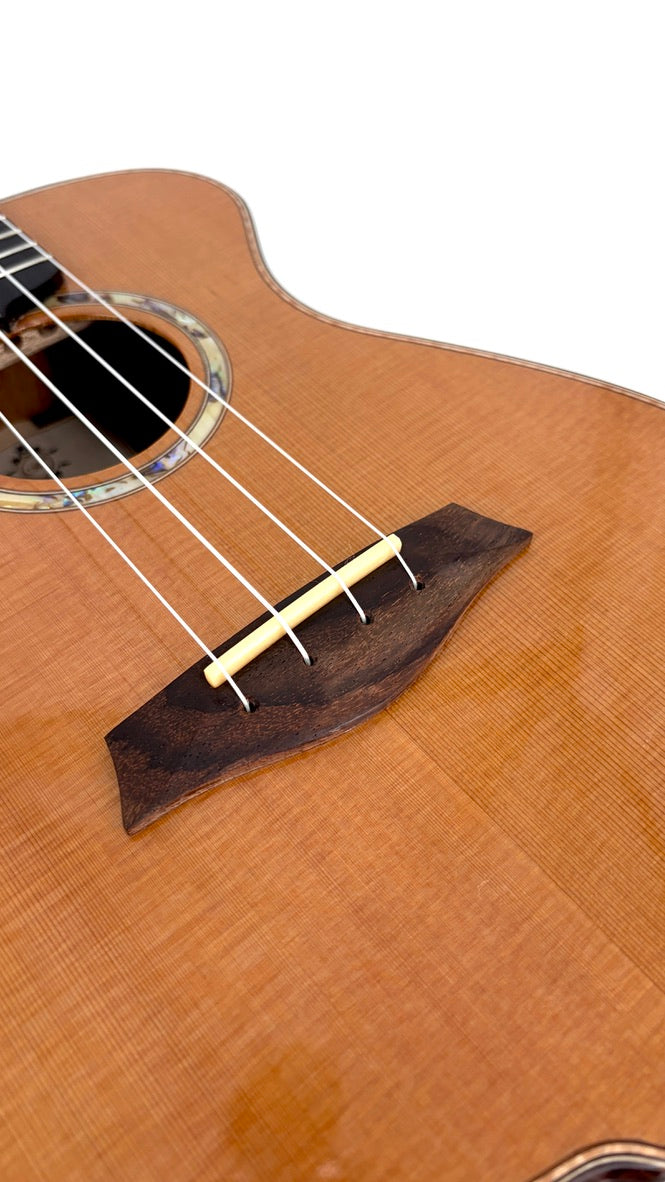 MAESTRO UT-IR (C) Tenor