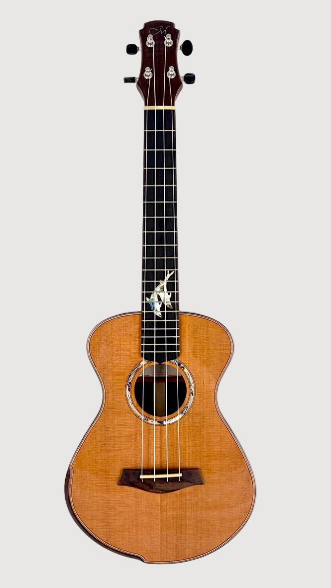 MAESTRO UT-IR (C) Tenor