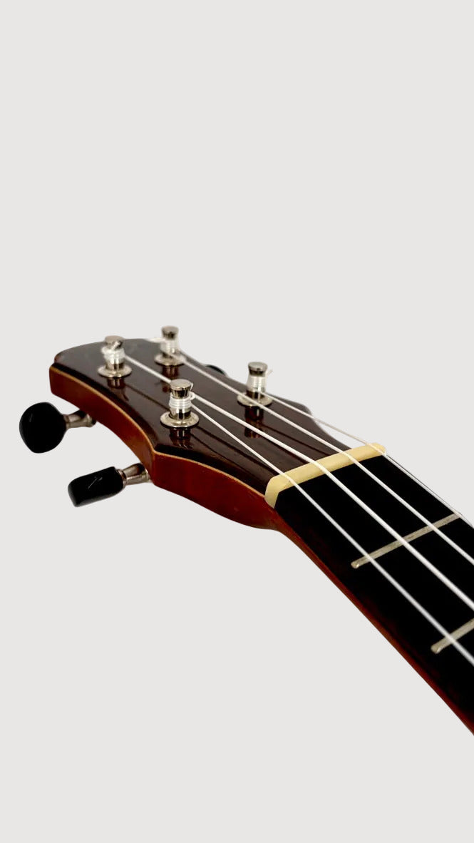 MAESTRO UT-IR (C) Tenor