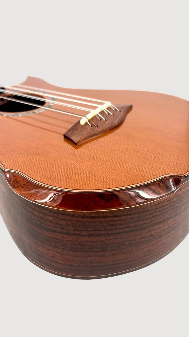 MAESTRO UT-IR Tenor 8-string cutaway