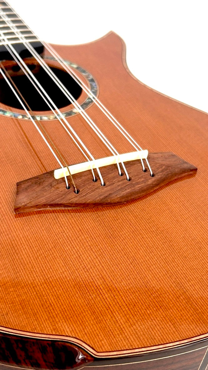 MAESTRO UT-IR Tenor 8-string cutaway