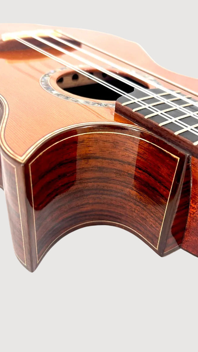 MAESTRO UT-IR Tenor 8-string cutaway