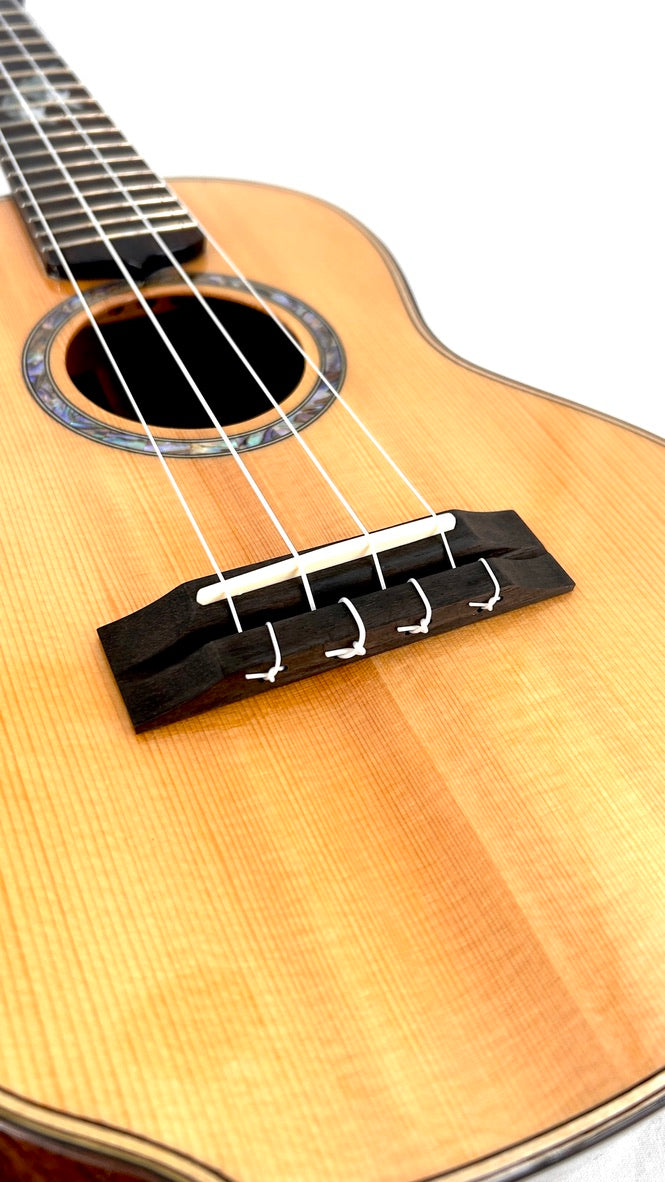 MAESTRO UT-IR (S) Tenor