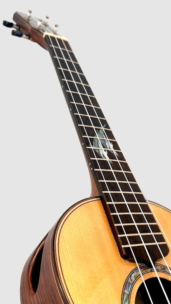 MAESTRO UT-IR (S) Tenor